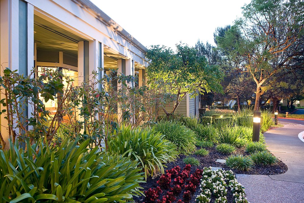 Hotel Grounds